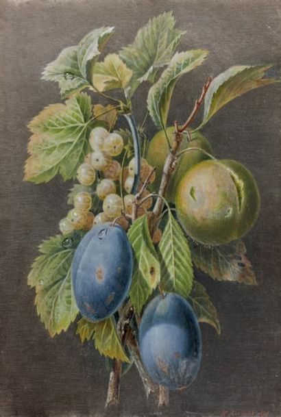 École FRANCAISE 1840, F. BERNARD Grappe de quetsches, prunes et groseilles Gouache...