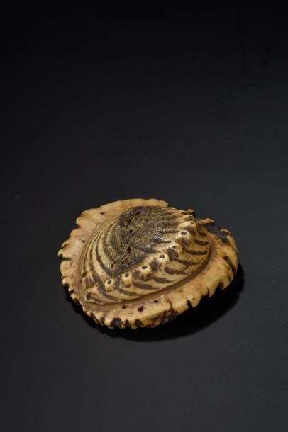 null Netsuke en corne de cerf Japon, XVIIIe siècle Représentant un awabi (ormeau)...