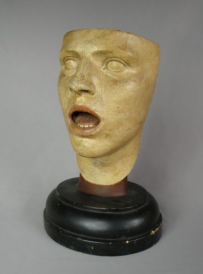 Modèle anatomique de tête humaine par Franz...