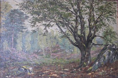 null Roger Tournay (1884-1969) 

La forêt de Fontainebleau au printemps

Huile sur...