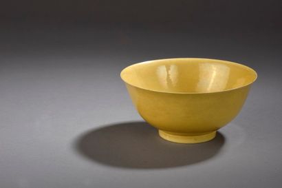 null Bol à glaçure monochrome jaune

Chine, marque et époque Kangxi (1662-1722)

Reposant...