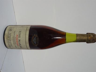 null Fine Marne

Pommery et Grenot

Eau de vie de la Marne

Magnum 1982
