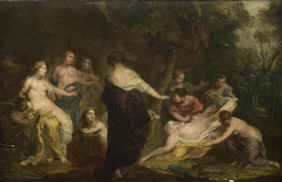 null Frans Wouters (1612-1659)
Diane découvrant la grossesse de Calisto
Panneau de...