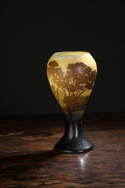 Émile GALLÉ (1846-1904) Vase au Paysage lacustre...