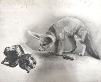 null Otto Wegener
Le Fennec et la Mort, photomontage, allégorie
Paris, vers 1914
Grande...