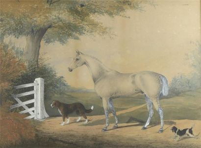 École du XIXe siècle
Portrait d'un cheval...