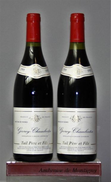 2 bouteilles GEVREY CHAMBERTIN NECTAR DE...