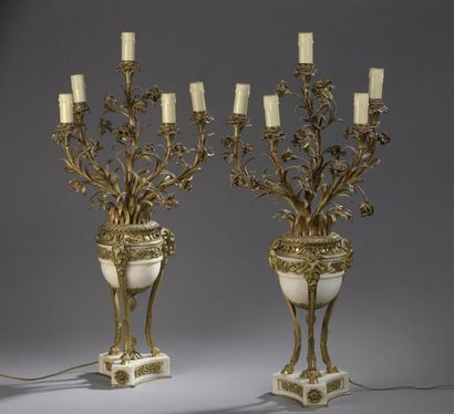 null Paire de vases en marbre blanc et bronze ciselé et doré de style Louis XVI,...