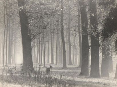 null R A CLAUDE de Meaux 
Etude de sous bois, la chevre de Monsieur Seguin
Trois...