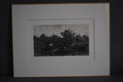 null D'après Narcisse DIAZ (1807 - 1876)
Vaches au pré
Lithographie
18 x 28 cm