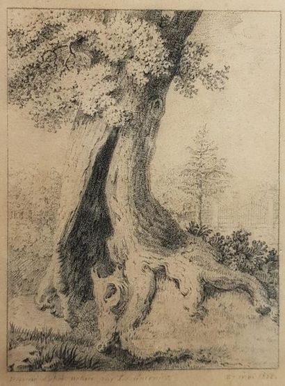 null J. F. CHERNIER
(Actif en 1822)
Paysage au grand arbre
Crayon noir
27 x 22 cm
Signé...