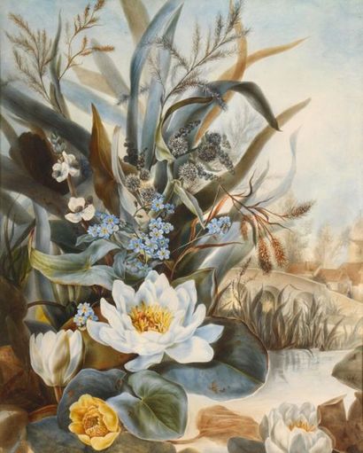 null Fanny BURAT
(Blois 1838 - ? 1910)
Bouque de fleurs aux nénuphars
Bouquet de...
