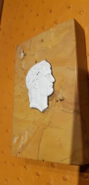 null Charmant profil de l'Empereur Napoléon en marbre blanc finement sculpté sur...