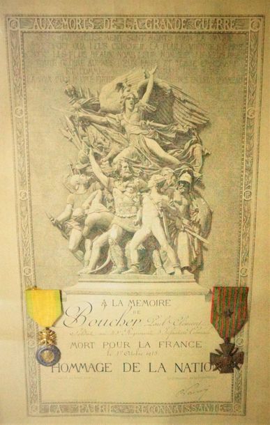 null Colonial Infantry 
Framed coin including a diploma awarded "in memory of Boucher...