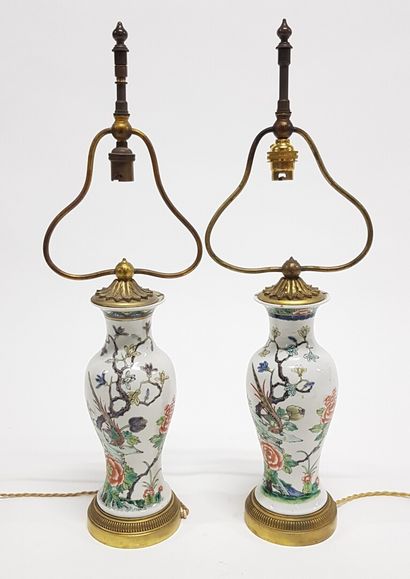 null CHINE

Paire de vases en porcelaine à décor d'oiseaux branchés montés en lampes...
