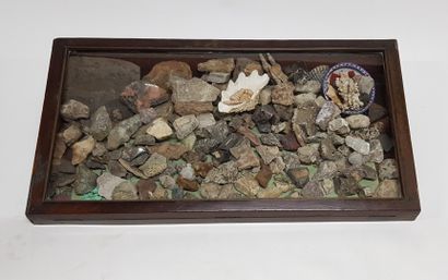null Collection de minéraux, coquillages et fossiles divers présentés dans leur ...