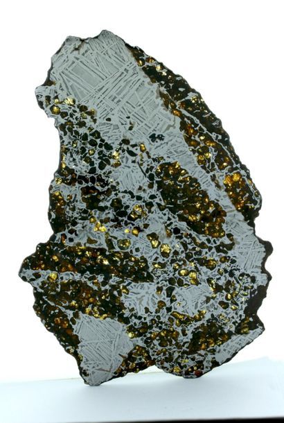 null Impressive pallasite 
The slice measures 360 x 240 mm by 3 mm for thickness...