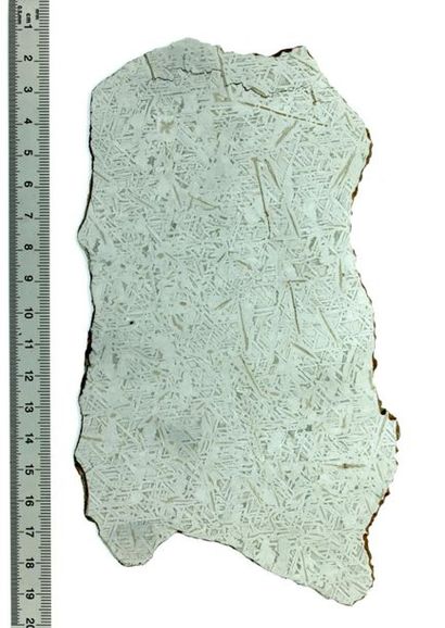 null Domeyko meteorite
Complete 260 g slice measuring 180 x 100 mm for a thickness...