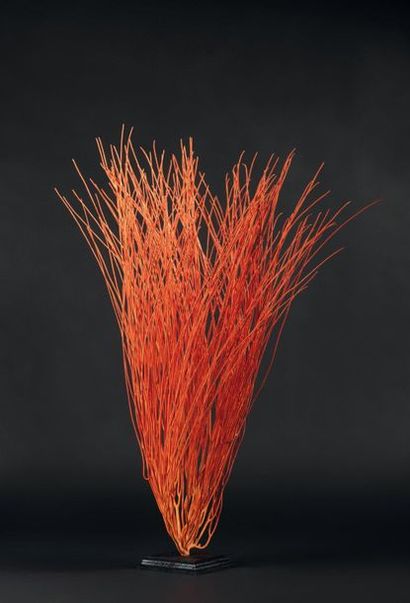 null Gorgone rouge vif en « cheveux », Ellisella Grandis 
Haut. 75 cm