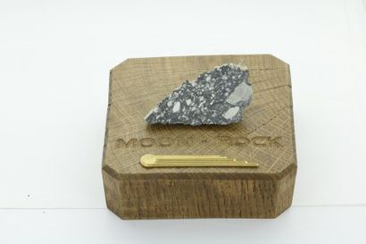 null Lunar meteorite, superb 46.14 g heel. 
 This piece measures 68 x 35 mm for the...
