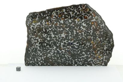null Sericho is a pallasite discovered in Kenya a few years ago. 
The prepared slice,...