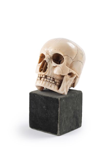  Memento Mori en Ivoire, 
Crâne finement exécuté notamment au niveau de la dentition...