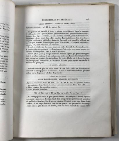 null JOSEPH (J.). Histoire des champignons comestibles et vénéneux. 

Paris ,Hocquart...