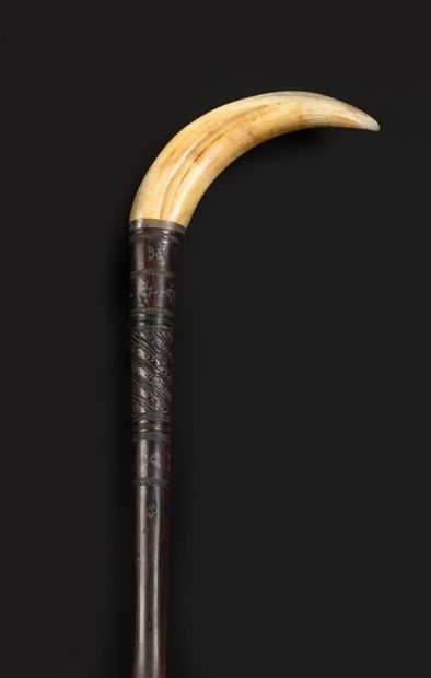 null Cane with a handle formed by a warthog tusk, the shaft in wood decorated with...