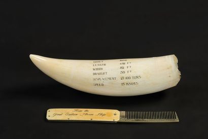 null Interesting whole sperm whale (or scrimshaw) tooth finely engraved from the...