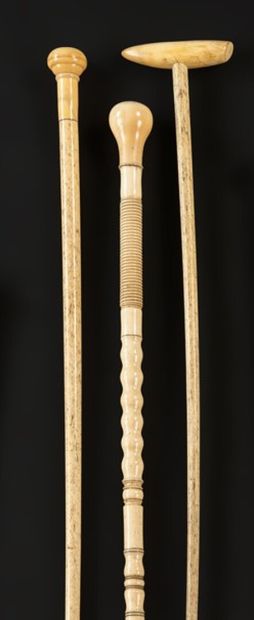null Set of three beautiful bone canes, one turned bone