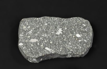 Tranche de la météorite d'Allende tombée...