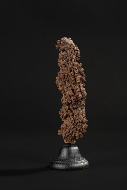 null Giant coprolite in iron oxide on a base

Total height 20 cm