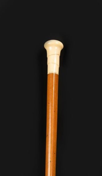 null Dandy cane with ivory knob
