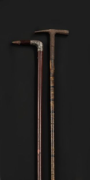 null Set of two canes: one of dandy, the other "puzzle" the flexible shaft in horn...