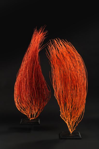 null Pair of bright red gorgons in "hair", Ellisella Grandis on base.

Total height...
