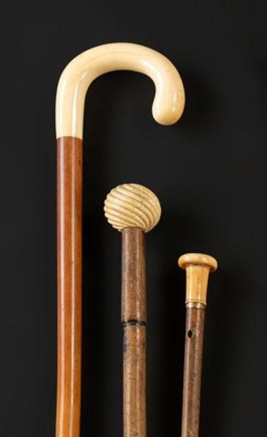 null Set of three canes, ivory knob