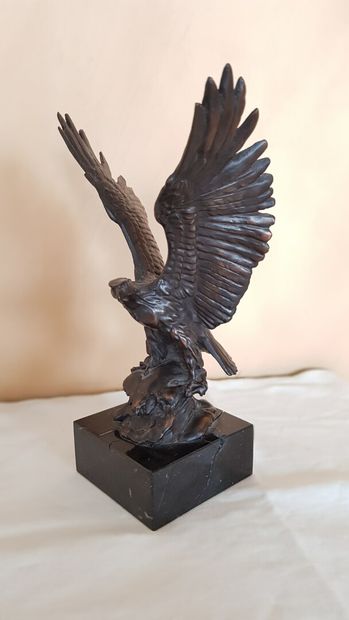 null 20th century school

Eagle on a mound with wings spread

Bronze with brown patina...
