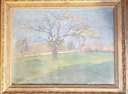 null Lot of oil on canvas, engravings and various framed pieces (average condition,...