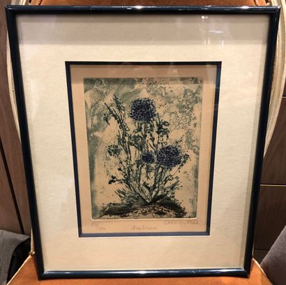 null Georges VIAL (1926) 10 / 20

Scabious of the fields

Print in colours, captioned,...