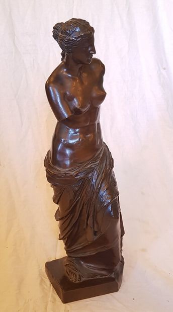 null The Venus of Milo bronze group with brown platinum signed on the terrace F....