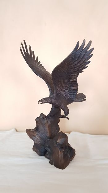 null Ronald van RUYCKEVELT

Eagle with spread wings on a mound

Bronze with brown...