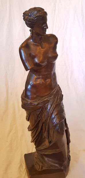 null The Venus of Milo bronze group with brown platinum signed on the terrace F....