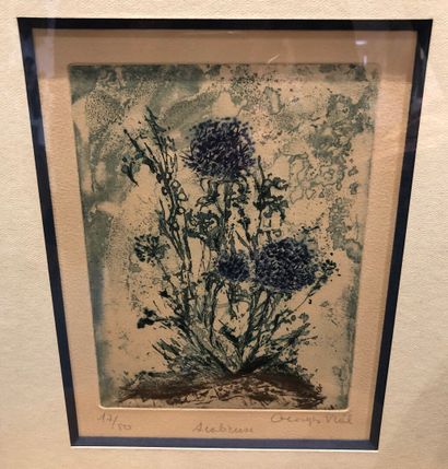 null Georges VIAL (1926) 10 / 20

Scabious of the fields

Print in colours, captioned,...