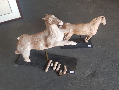 null Two horses in terracotta (accidents and missing parts)