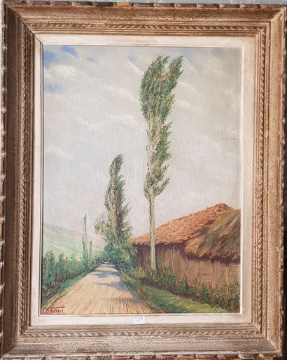 null COSTIANI

The road with big trees

Oil on isorel

59.5 x 44.5 cm