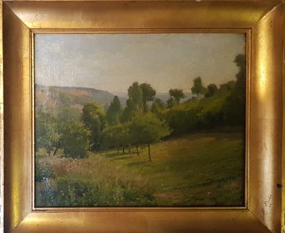 null French school of the 19th century

Landscape

Oil on canvas

38 x 46 cm