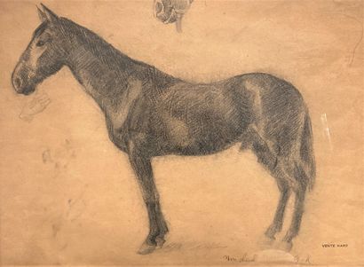 null French school of the 19th century

Studies of a horse

Charcoal and black pencil...
