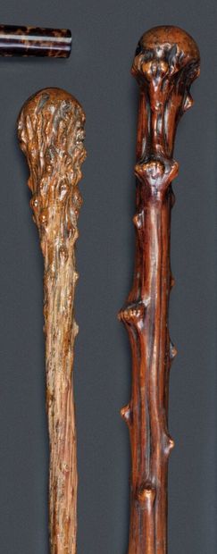 null Lot de deux cannes monolithiques en bois de ronce patiné

Long. 90 et 91 cm