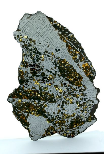null Impressionnante pallasite Seymchan, météorite de pallasite découverte en Russie,...