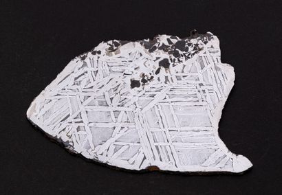 null Tranche de météorite métallique découverte en Russie, Seymchan. Elle présente,...